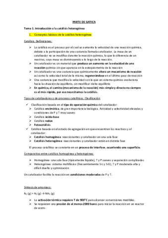 RESUMEN-GATICA.pdf
