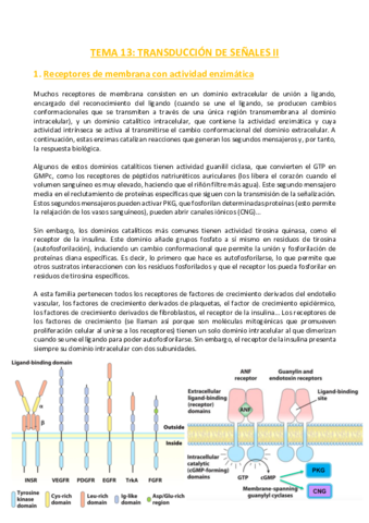 TEMA-13-Bioquimica.pdf