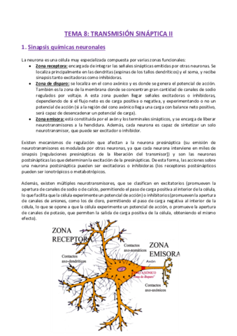 TEMA-8-Fisiologia.pdf