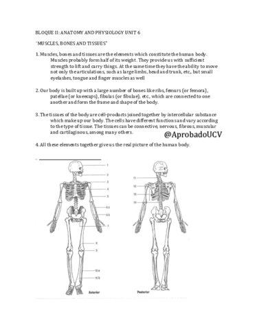 Examen-tipo-A-Ingles.pdf