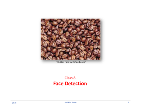 20192020Class8FaceDetection.pdf