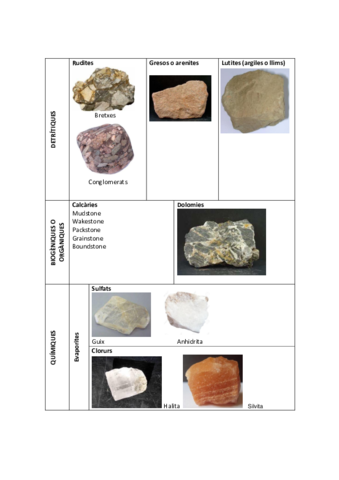 sedimentaries.pdf