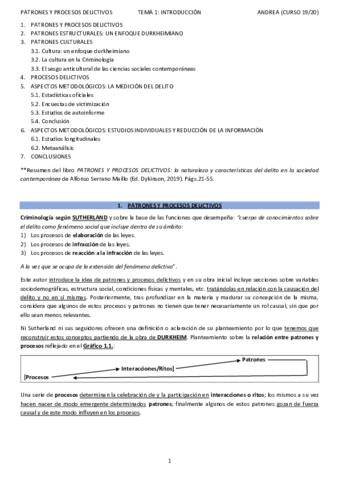 T1PATRONES-Y-PROCESOS-DELICTIVOSANDREA.pdf
