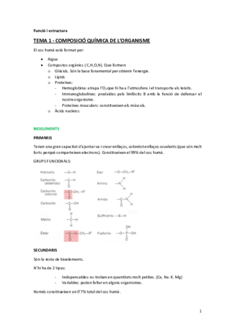 funcio-i-estructura-copia.pdf