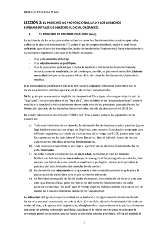 PRINCIPIO-DE-PROPORCIONALIDAD.pdf