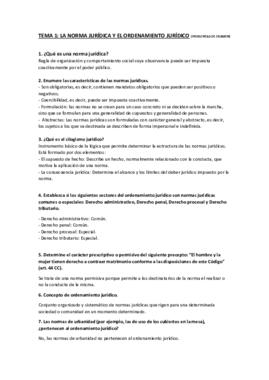 TEMA 1 EXAMEN RESUELTO.pdf