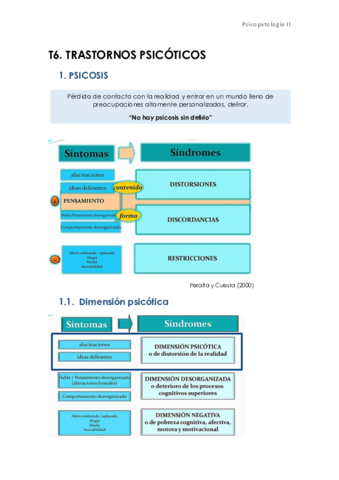 T6-PSICOTICOS.pdf