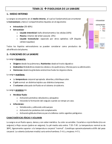 TEMA-21-fisiologia-de-la-sangre.pdf