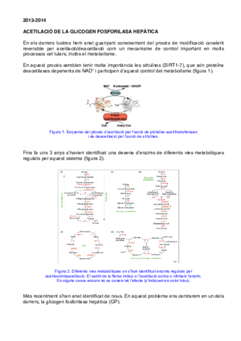 Problema-2-Acetilacio-de-la-glicogen-fosforilasa-hepatica.pdf