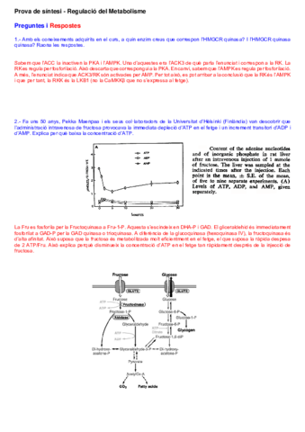 2015-prova-de-sintesi-RESPOSTES.pdf