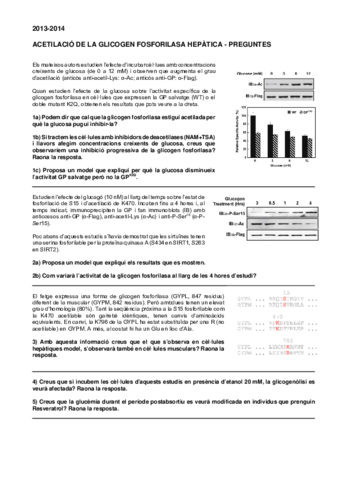 Problema-2-PREGUNTES.pdf