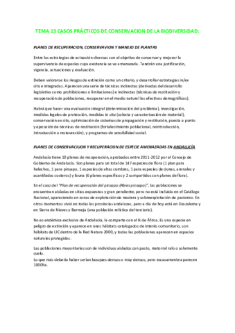 TEMA-13.pdf