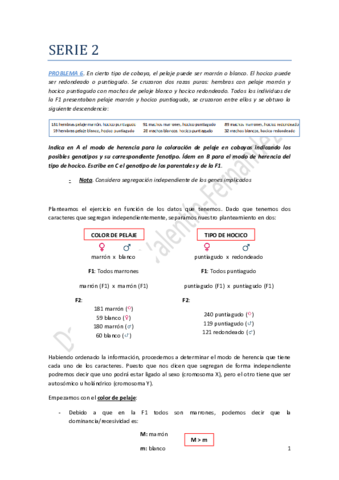 Serie2.pdf