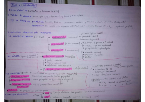 TEMAS-1-9-RESUMENES.pdf