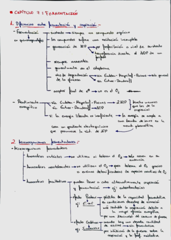 146f11ddce294617bf5eeb34073b01d3.pdf