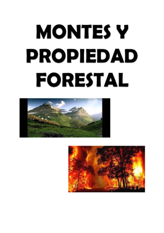 TRABAJO-MONTES-Y-PROPIEDAD-FORESTAL.pdf