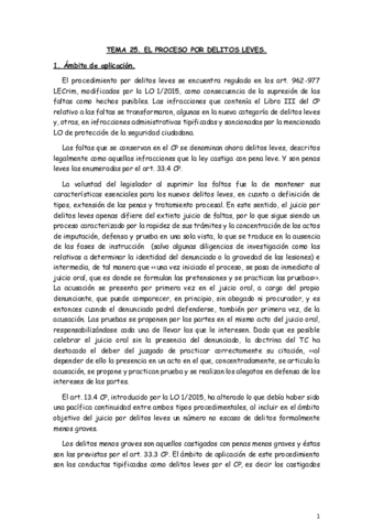 TEMA-25.pdf