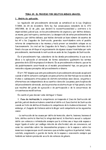 TEMA-24.pdf