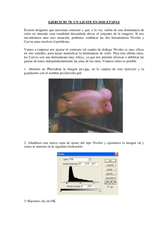 EJERCICIO-13.pdf