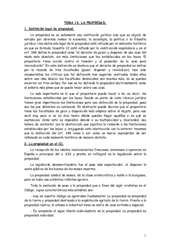 TEMA-13-CIVIL.pdf