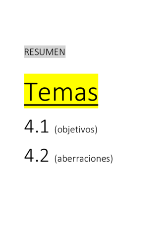 RESUMEN.pdf