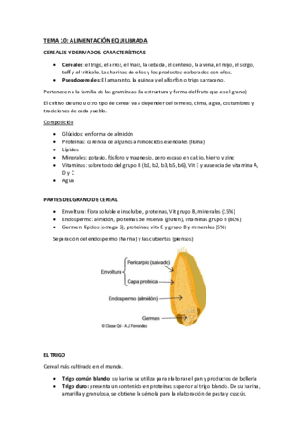 TEMA-10-ALIMENTACION.pdf