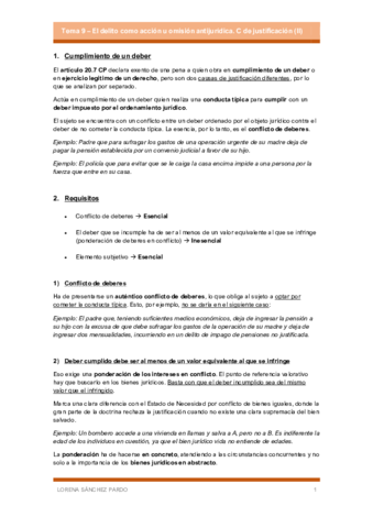 Tema-9-El-delito-como-accion-u-omision-antijuridica.pdf