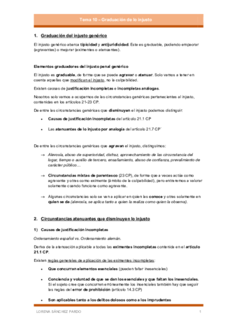 Tema-10-La-graduacion-de-lo-injusto.pdf
