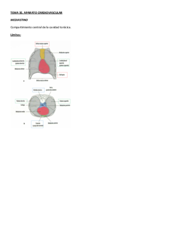 TEMA 35.pdf