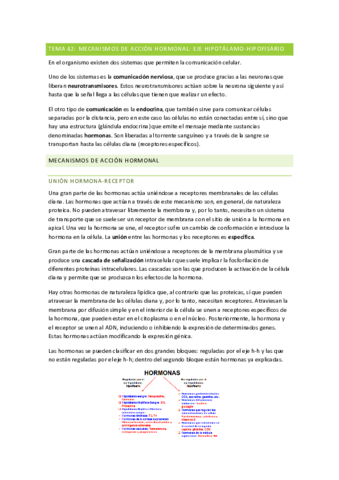 TODO-Sistema-Endocrino.pdf