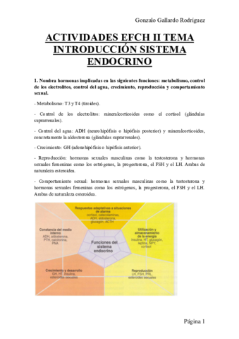ACTIVIDADES-EFCH-II-TEMA-INTRODUCCION-SISTEMA-ENDOCRINO.pdf