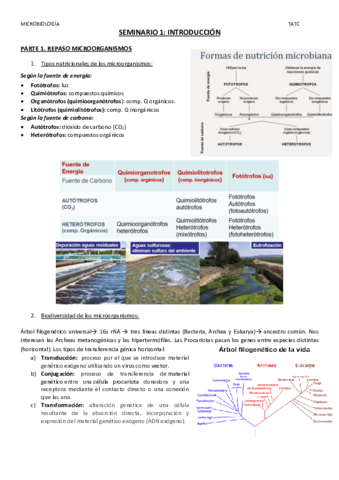 SEMINARIOS-1J-2-y-3.pdf