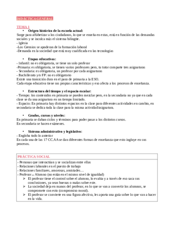 TEMAS-DIDACTICA.pdf