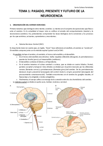 TEMA-1-pasado-presente-y-futuro-de-la-neurociencia.pdf
