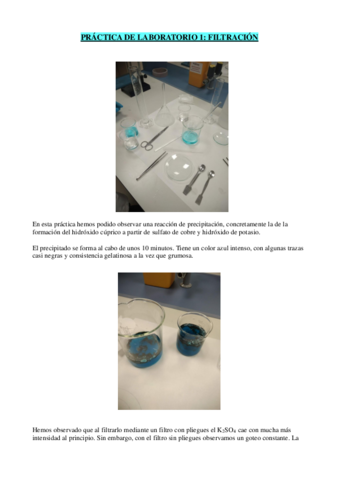 Ficha-practica-1-quimica.pdf