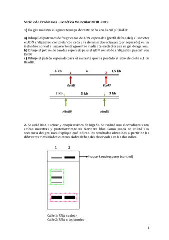 Serie-P2-2018-19-RESUELTA.pdf