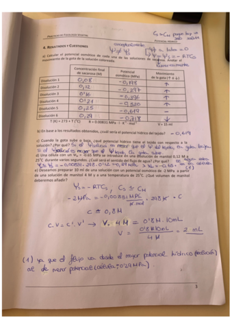 PRACTICAS-FVEGETAL.pdf