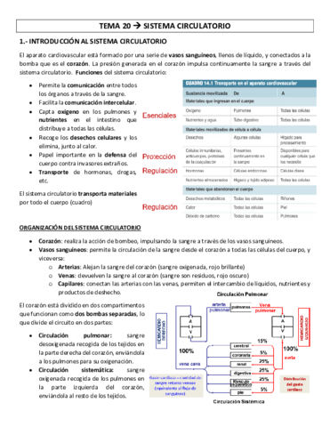 TEMA-20-sistema-circulatorio.pdf
