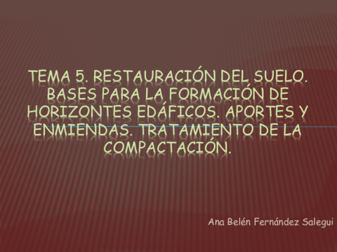 tema-5-restauraciongrado2019alumnos.pdf