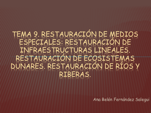 tema-9-restauraciongradoinfraestructuras-linealesalumnos.pdf