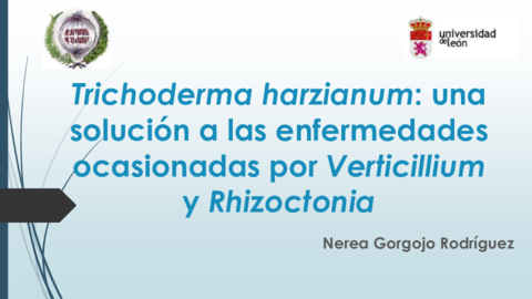 SEMINARIO.pdf