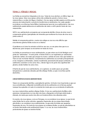 TEMA-2.pdf