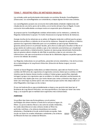 TEMA-7.pdf