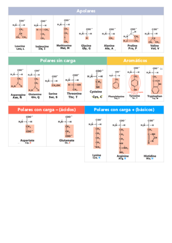 Tabla-resumen-aminoacidos.pdf