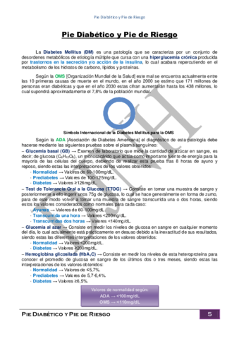Introduccion-Pie-Diabetico-y-Pie-de-Riesgo.pdf