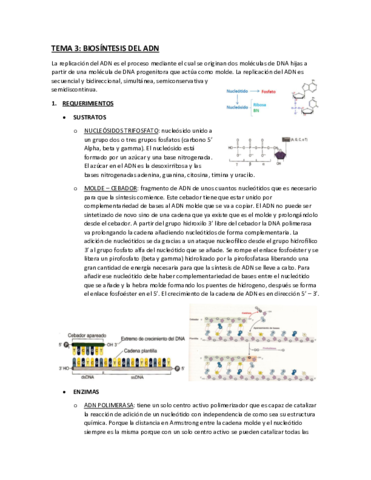 TEMA-3.pdf