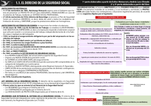 apuntes-proteccion-social.pdf
