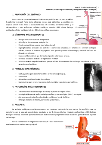 ADU2-Tema-4PQ-esofagica.pdf