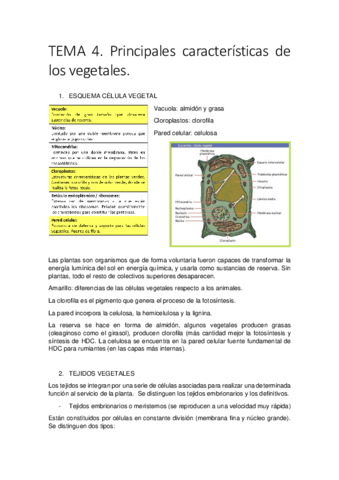 TEMA-4-convertido.pdf