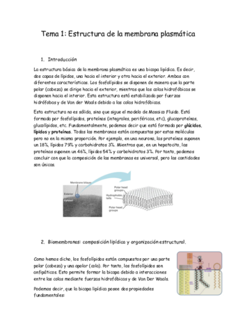 Tema-1.pdf